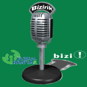 Bizirik logo try